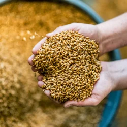 THY WHISKY CORE EDITION - SPELT - RYE