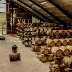 THY WHISKY NO 22 - B�G-PX